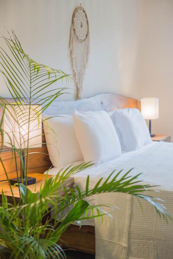 Maculan Hotel Valladolid  Eksteriør billede